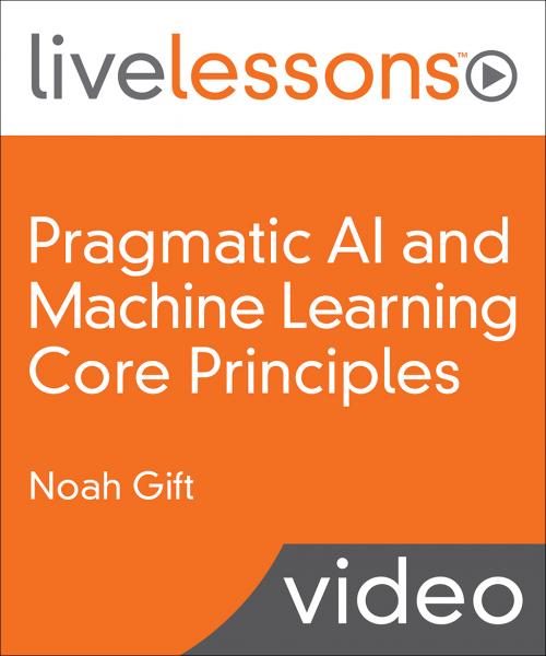 Pragmatic AI and Machine Learning Core Principles